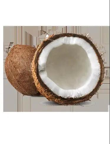 GARNIER ULTRA DOUX Après-Shampooing Nourrissant Lait de Coco & Macadamia Cheveux secs à très secs - 200ml seven-dz