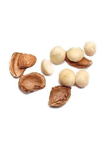 GARNIER ULTRA DOUX Après-Shampooing Nourrissant Lait de Coco & Macadamia Cheveux secs à très secs - 200ml seven-dz