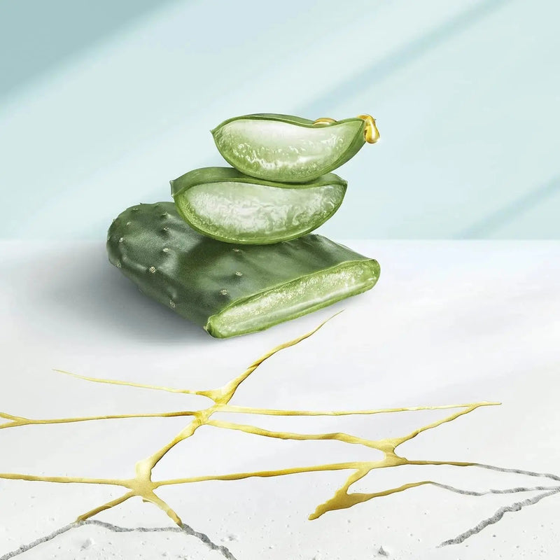 Head & Shoulders Derma X Pro apaise Shampoing Antipélliculaire Cuir chevelu sec - lot de 2 flacons de 250 & 200ml Seven-dz